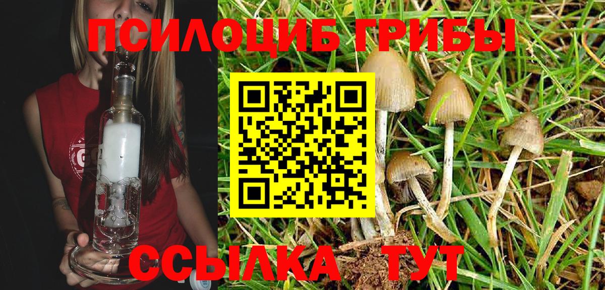 Псилоцибиновые грибы Psilocybe  Галлюциногенные грибы прущие грибы  Ленинск-Кузнецкий  Вход с VPN 