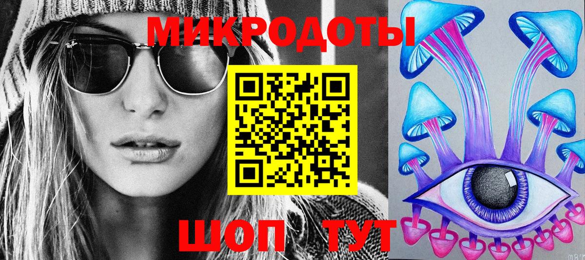 Галлюциногенные грибы Psilocybine cubensis Ленинск-Кузнецкий